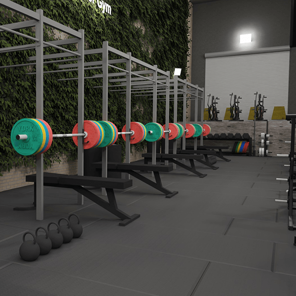 Athletik Training Ludwigsburg, Functional Training Ludwigsburg, Crossfit Ludwigsburg, Fitness Training Ludwigsburg, Crossfit Box Ludwigsburg, Calisthenics Ludwigsburg