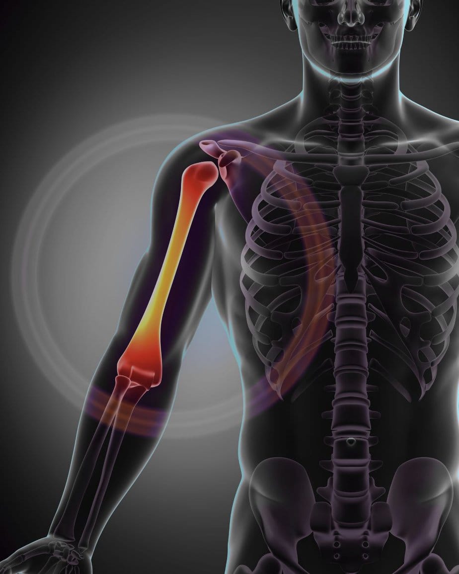 Lebendige Knochen passen sich Training an. Erfahre, wie Bewegung, Vitamin D und Fitness deine Knochengesundheit langfristig stärken. | Fitness Ludwigsburg