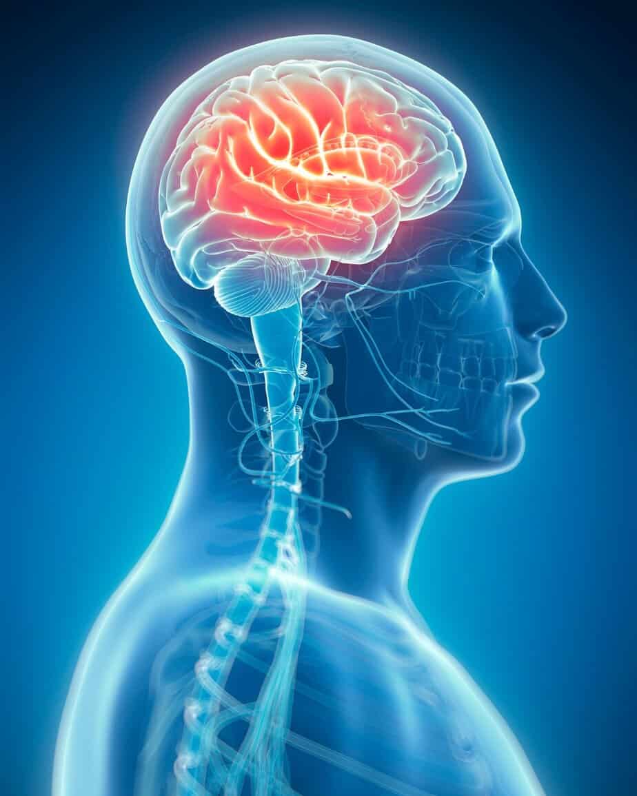 Weniger Zucker essen: weniger Verlangen | Fitness Ludwigsburg